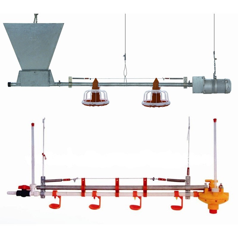 自動(dòng)料線 雞舍養(yǎng)雞料線 養(yǎng)雞自動(dòng)料線 肉雞養(yǎng)殖設(shè)備 平養(yǎng)雞料線