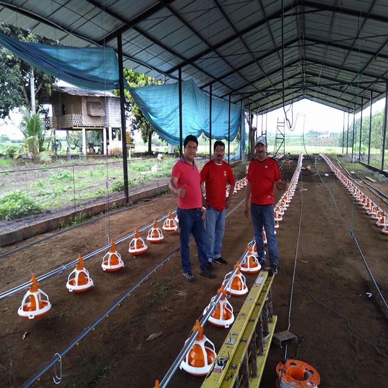 自動(dòng)料線 平養(yǎng)雞自動(dòng)料線 散養(yǎng)肉雞料線 雞自動(dòng)喂料設(shè)備鴨子鵝料