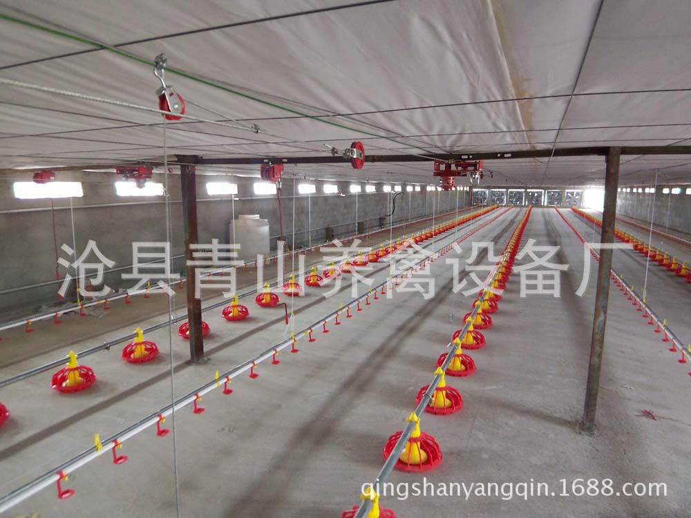供應(yīng)養(yǎng)雞料線 全自動(dòng)養(yǎng)雞料線 肉雞養(yǎng)殖設(shè)備 平養(yǎng)雞料線 水線