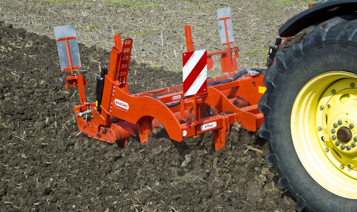 Attila in field Attila in field.jpg