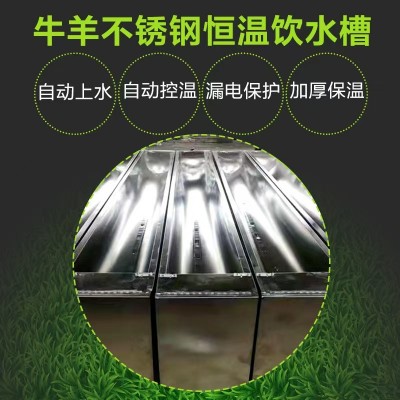 牛羊養(yǎng)殖場不銹鋼恒溫飲水槽 自動(dòng)加水飲水器