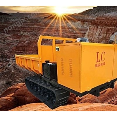 良誠(chéng)3噸履帶運(yùn)輸車(chē)