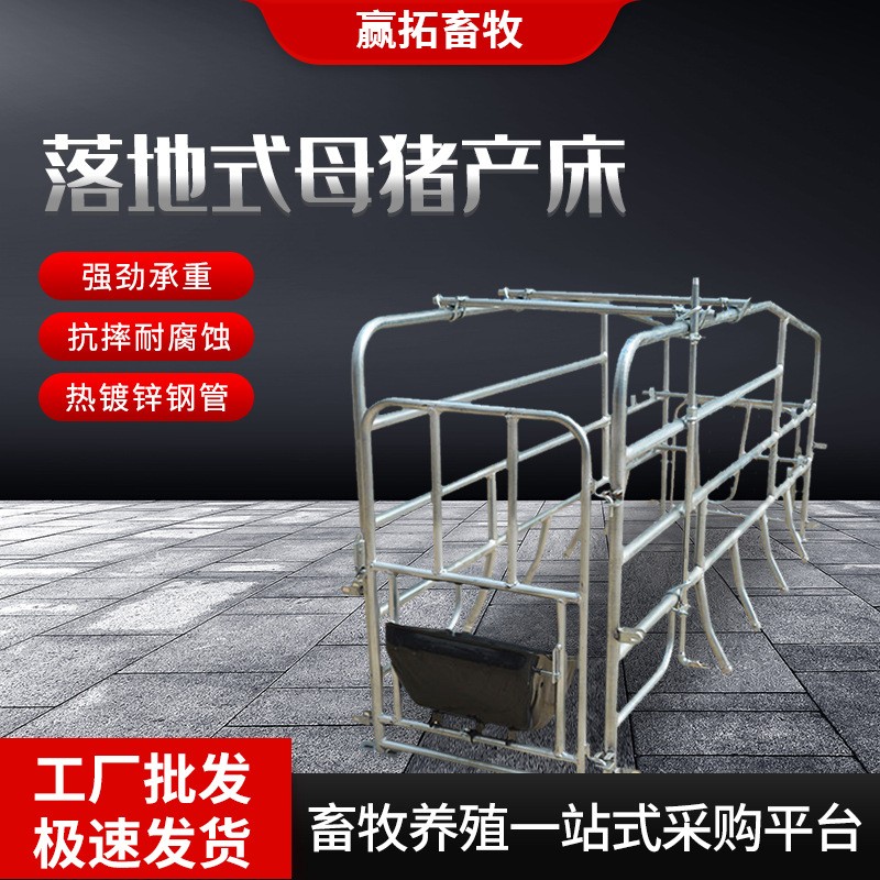 廠家批發(fā)落地式母豬產床產保兩用落地式單體豬用設備母豬分娩床