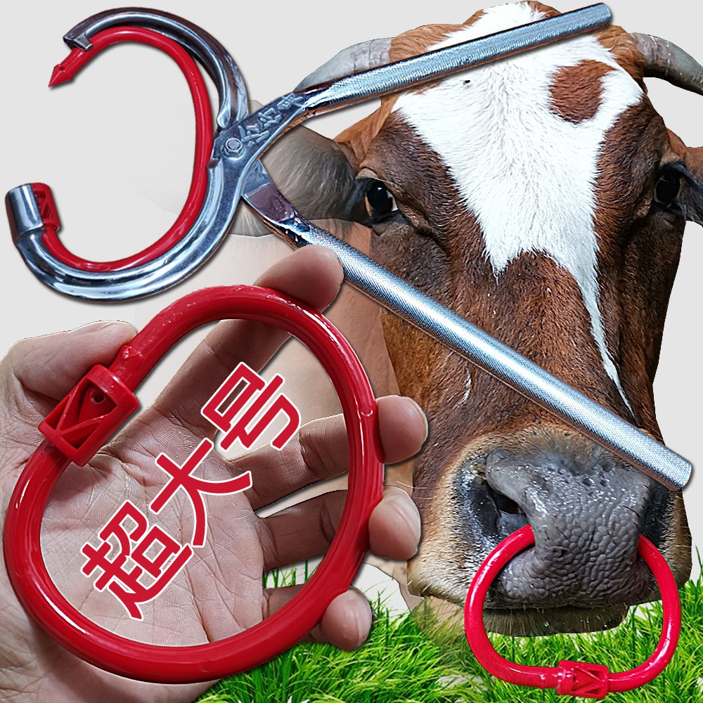 廠家直銷特大號(hào)養(yǎng)牛器械設(shè)備 牛鼻環(huán)牛鼻圈 牛鼻鉗子穿孔打孔鉗子