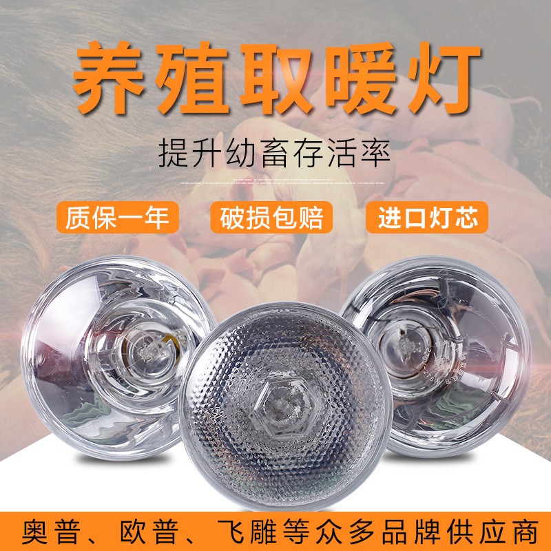 藍(lán)鳥養(yǎng)殖專用取暖燈小雞仔豬仔育雛獸用加熱烤燈設(shè)備加厚保溫?zé)襞? width=