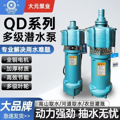 大元QD潛水泵多級(jí)小老鼠家用大流量農(nóng)用灌溉高揚(yáng)程單相220V噴泉泵