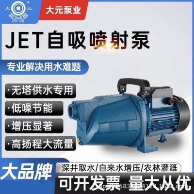 噴射泵家用自來(lái)水增壓泵大頭泵耐腐蝕大流量高效高揚(yáng)程220v自吸泵