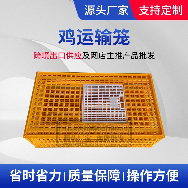 中空透氣塑料家禽雞籠 鴨鵝養(yǎng)殖場(chǎng)運(yùn)輸周裝框 成雞中轉(zhuǎn)用螺絲組裝
