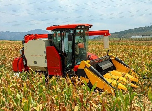 玉米小區(qū)聯(lián)合收獲機（單小區(qū)）