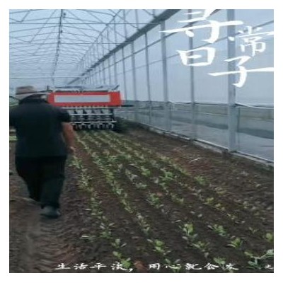 蔬菜移栽機(jī)