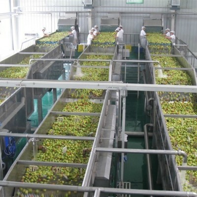 恒立宇 不銹鋼食品級(jí) 芒果汁加工設(shè)備 原漿生產(chǎn)線 1T-10T/H