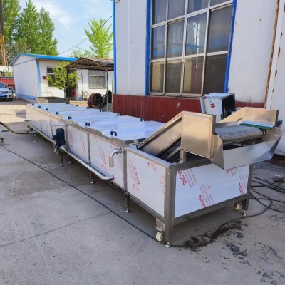 果蔬殺青漂燙機(jī) 玉米蒸煮設(shè)備 全自動金銀花蒸汽殺青機(jī) 康通牌