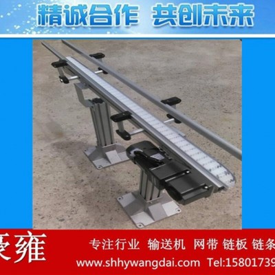 制作肉類食品傳送線 柔性輸送線 吹塑全自動(dòng)化生產(chǎn)線 網(wǎng)鏈輸送機(jī)