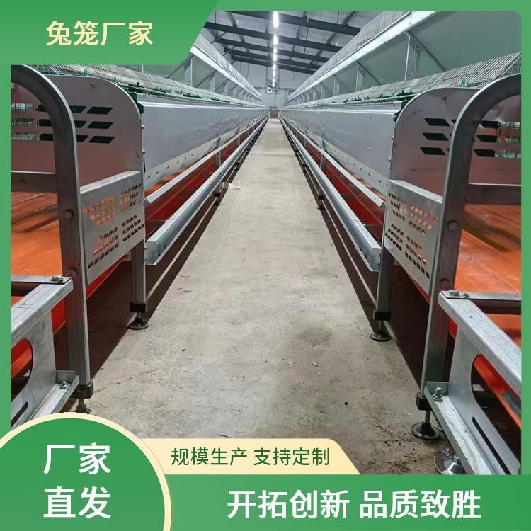 新勝順畜牧設備 提供種兔 肉兔子籠子 透光性好 提高產量