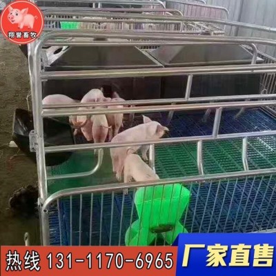 翔譽(yù)畜牧 新型歐式母豬產(chǎn)床 復(fù)合板仔豬保育床 小豬保育欄 豬籠養(yǎng)豬設(shè)備 器械母豬產(chǎn)床定位欄 廠家直銷