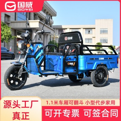 國(guó)威電動(dòng)三輪車小型載人載貨農(nóng)用家用載重拉貨電瓶車電動(dòng)車擺攤新 1輛