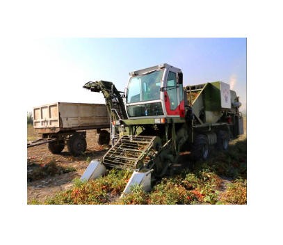 威明德4FZ-35自走式番茄收獲機(jī)