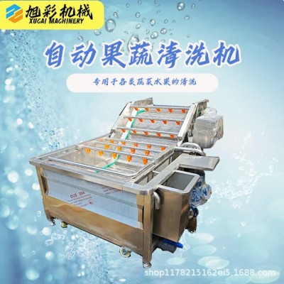 果蔬氣泡清洗機(jī)西藍(lán)花生菜噴淋清洗芹菜小米辣凈菜果蔬清洗設(shè)備廠