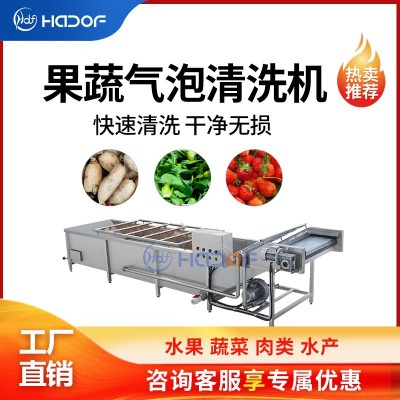 全自動(dòng)瓜果蔬菜氣泡清洗機(jī)不銹鋼噴淋式洗菜機(jī)中央廚房?jī)舨水a(chǎn)線