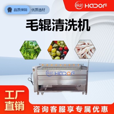 全自動(dòng)洗姜機(jī)山藥馬蹄毛輥清洗機(jī)不銹鋼預(yù)制菜加工清洗整條產(chǎn)線