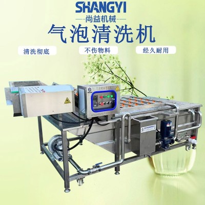 商用氣泡果蔬清洗機(jī)中央廚房葉菜根莖類清洗設(shè)備食品廠洗菜機(jī)