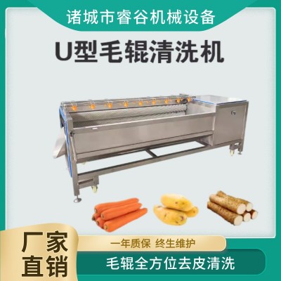 木瓜清洗去皮機球莖類果蔬毛輥清洗機洋芋馬鈴薯蘿卜紅薯洗泥沙機