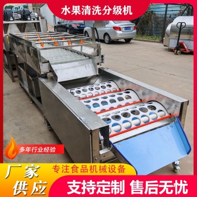 工廠用果蔬清洗打蠟分級流水線沃柑清洗加工線橙子清洗風干選果機