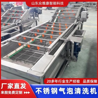 商用果蔬氣泡清洗機(jī)大型辣椒清洗流水線全自動(dòng)圣女果砂糖橘洗果機(jī)
