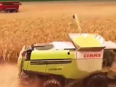 讓農(nóng)機(jī)專家點(diǎn)贊的玉米脫粒機(jī)，究竟有多厲害？它的效率有多高？