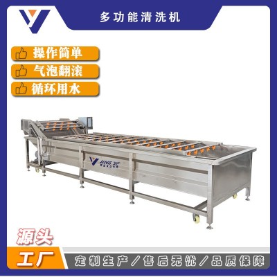 鐵皮石斛清洗機(jī) 大型中草藥加工流水線 全自動黃芪清洗機(jī)