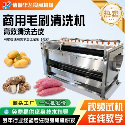 商用毛輥清洗去皮機(jī)土豆紅薯生姜蘿卜生蠔清洗去皮根莖去泥沙設(shè)備