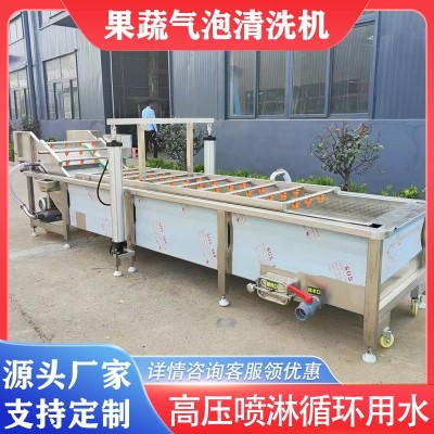 芹菜大蔥氣泡清洗枇杷楊梅鼓浪式清洗機(jī)黃芪人參去泥沙清洗設(shè)備