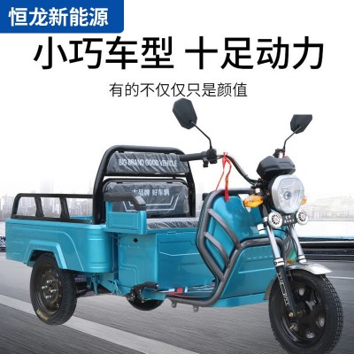 新款小型電動三輪車家用拉貨農用載貨三輪國標可上牌貨運小平板車